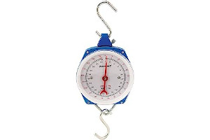 512kjjcY+mL._AC_UL320_