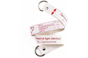 51vwejVpTYL._AC_UL320_